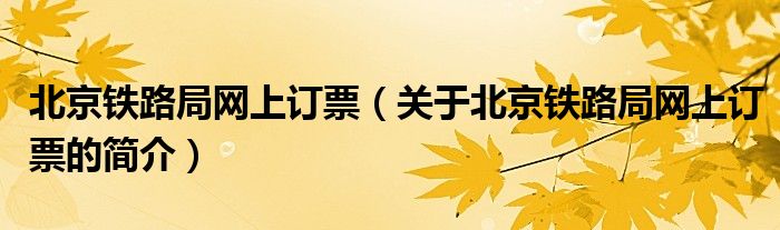 北京鐵路局網(wǎng)上訂票（關(guān)于北京鐵路局網(wǎng)上訂票的簡(jiǎn)介）