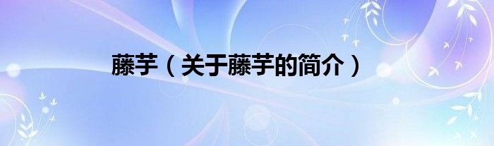 藤芋（關(guān)于藤芋的簡(jiǎn)介）