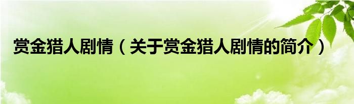 賞金獵人劇情（關(guān)于賞金獵人劇情的簡(jiǎn)介）