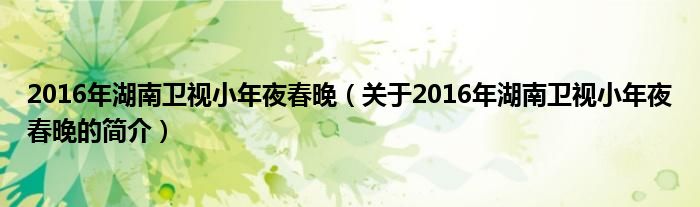 2016年湖南衛(wèi)視小年夜春晚（關(guān)于2016年湖南衛(wèi)視小年夜春晚的簡介）