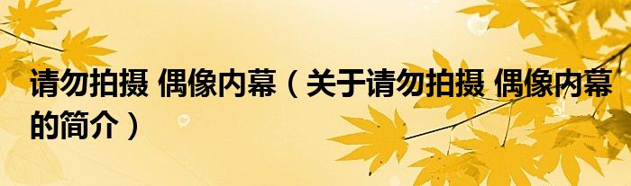 請勿拍攝 偶像內(nèi)幕（關于請勿拍攝 偶像內(nèi)幕的簡介）