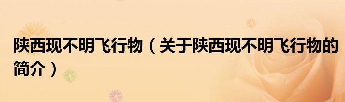 陜西現(xiàn)不明飛行物（關(guān)于陜西現(xiàn)不明飛行物的簡(jiǎn)介）