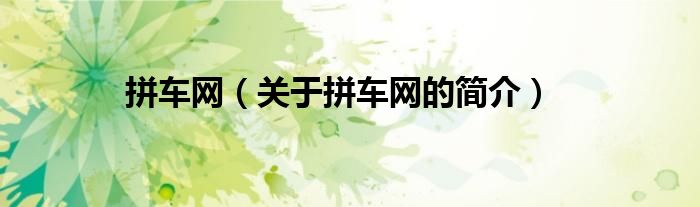 拼車網(wǎng)（關(guān)于拼車網(wǎng)的簡(jiǎn)介）