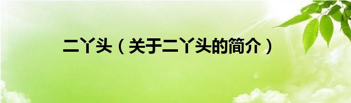 二丫頭（關(guān)于二丫頭的簡介）