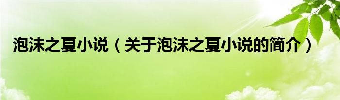 泡沫之夏小說(shuō)（關(guān)于泡沫之夏小說(shuō)的簡(jiǎn)介）