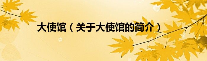 大使館（關(guān)于大使館的簡(jiǎn)介）