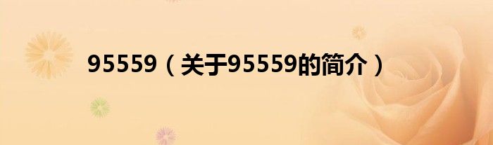 95559（關(guān)于95559的簡介）