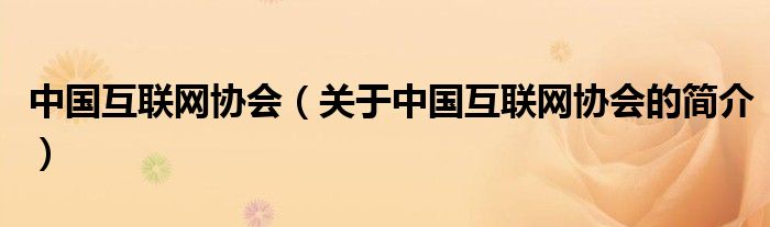 中國互聯(lián)網(wǎng)協(xié)會（關(guān)于中國互聯(lián)網(wǎng)協(xié)會的簡介）