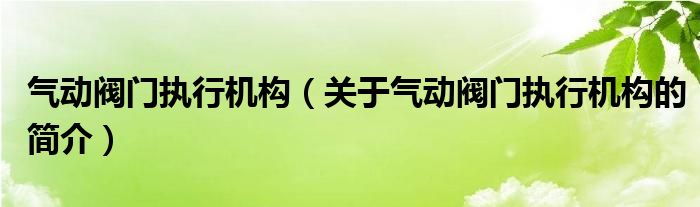 氣動閥門執(zhí)行機構（關于氣動閥門執(zhí)行機構的簡介）