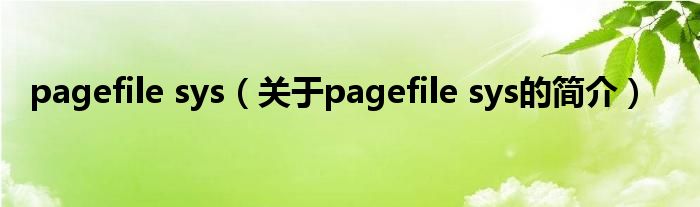 pagefile sys（關于pagefile sys的簡介）