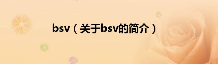 bsv（關(guān)于bsv的簡介）