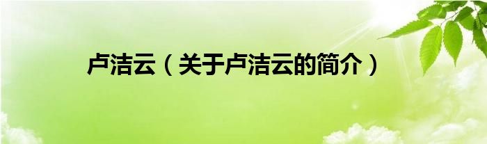 盧潔云（關(guān)于盧潔云的簡介）