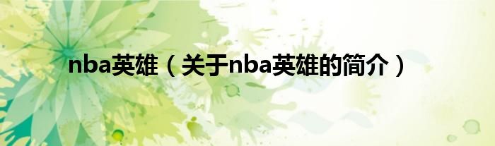 nba英雄（關(guān)于nba英雄的簡(jiǎn)介）