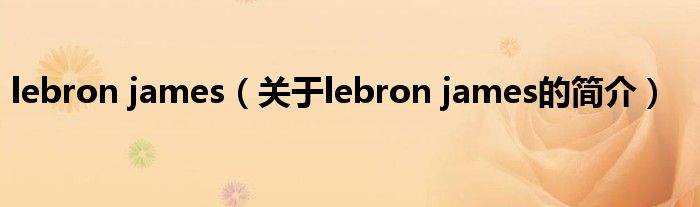 lebron james（關(guān)于lebron james的簡(jiǎn)介）