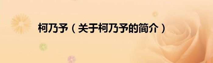 柯乃予（關(guān)于柯乃予的簡(jiǎn)介）