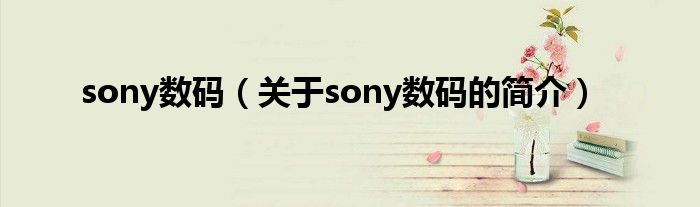 sony數(shù)碼（關(guān)于sony數(shù)碼的簡介）