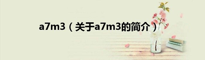 a7m3（關(guān)于a7m3的簡(jiǎn)介）