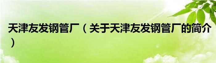 天津友發(fā)鋼管廠（關(guān)于天津友發(fā)鋼管廠的簡介）