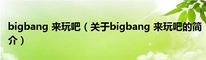 bigbang 來玩吧（關于bigbang 來玩吧的簡介）