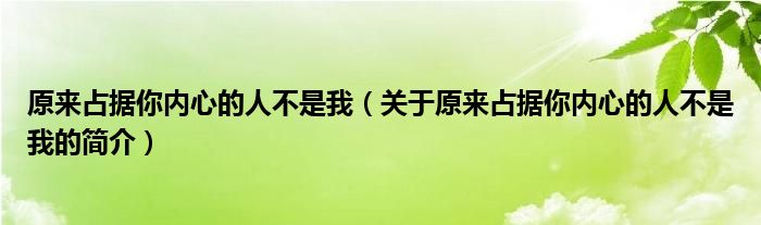 原來(lái)占據(jù)你內(nèi)心的人不是我（關(guān)于原來(lái)占據(jù)你內(nèi)心的人不是我的簡(jiǎn)介）