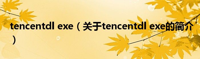 tencentdl exe（關于tencentdl exe的簡介）