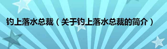 釣上落水總裁（關于釣上落水總裁的簡介）