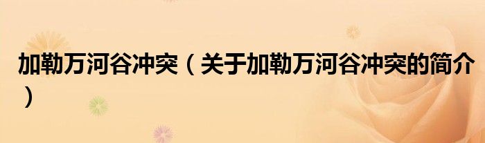 加勒萬河谷沖突（關(guān)于加勒萬河谷沖突的簡介）