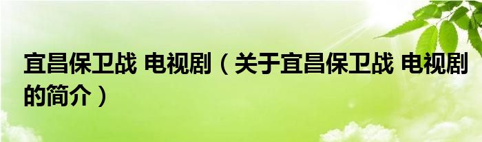 宜昌保衛(wèi)戰(zhàn) 電視?。P于宜昌保衛(wèi)戰(zhàn) 電視劇的簡介）