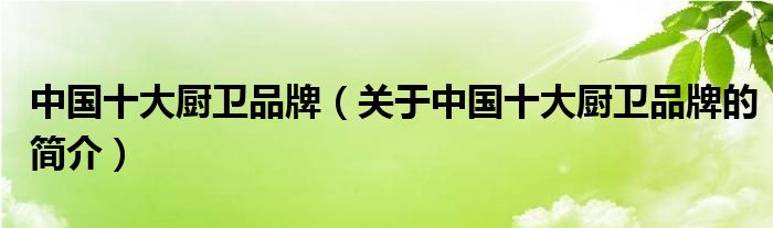 中國十大廚衛(wèi)品牌（關(guān)于中國十大廚衛(wèi)品牌的簡介）