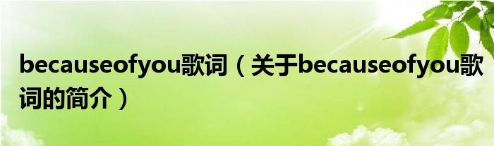 becauseofyou歌詞（關(guān)于becauseofyou歌詞的簡(jiǎn)介）