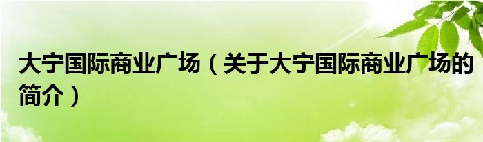 大寧國際商業(yè)廣場(chǎng)（關(guān)于大寧國際商業(yè)廣場(chǎng)的簡(jiǎn)介）