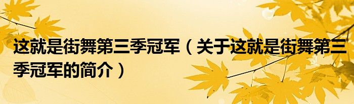 這就是街舞第三季冠軍（關(guān)于這就是街舞第三季冠軍的簡介）