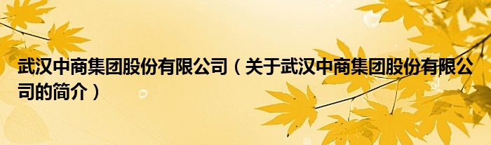 武漢中商集團(tuán)股份有限公司（關(guān)于武漢中商集團(tuán)股份有限公司的簡介）