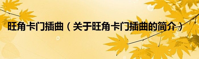 旺角卡門插曲（關(guān)于旺角卡門插曲的簡(jiǎn)介）