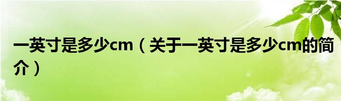 一英寸是多少cm（關(guān)于一英寸是多少cm的簡介）