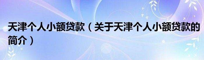 天津個人小額貸款（關(guān)于天津個人小額貸款的簡介）