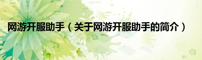 網(wǎng)游開服助手（關(guān)于網(wǎng)游開服助手的簡介）