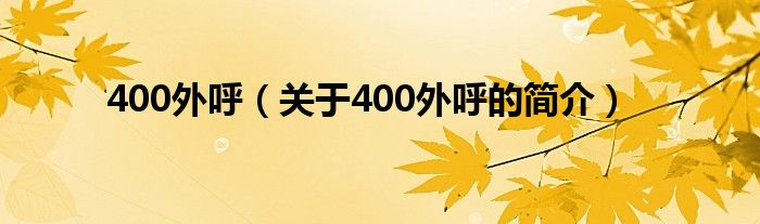 400外呼（關(guān)于400外呼的簡介）