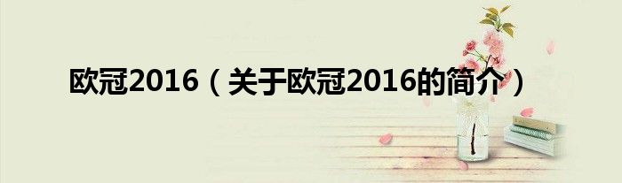 歐冠2016（關(guān)于歐冠2016的簡(jiǎn)介）