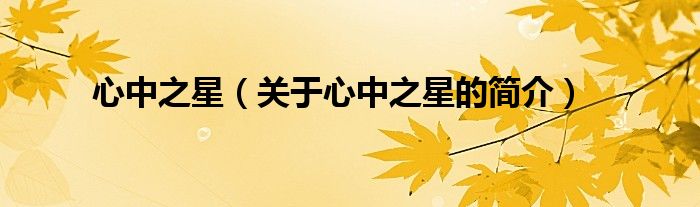 心中之星（關(guān)于心中之星的簡(jiǎn)介）