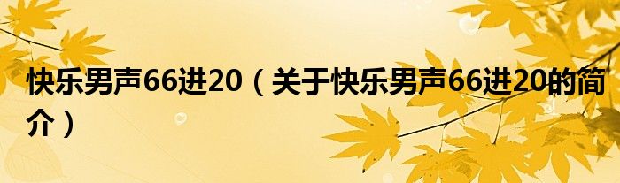 快樂男聲66進(jìn)20（關(guān)于快樂男聲66進(jìn)20的簡介）