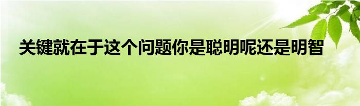 關(guān)鍵就在于這個(gè)問題你是聰明呢還是明智