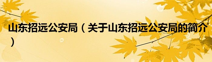 山東招遠公安局（關于山東招遠公安局的簡介）