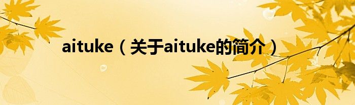 aituke（關(guān)于aituke的簡介）