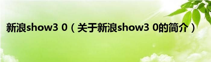 新浪show3 0（關(guān)于新浪show3 0的簡(jiǎn)介）