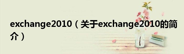 exchange2010（關(guān)于exchange2010的簡(jiǎn)介）