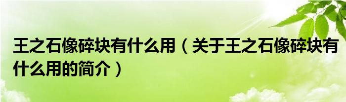 王之石像碎塊有什么用（關于王之石像碎塊有什么用的簡介）