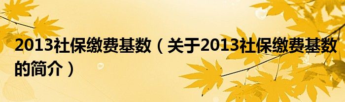 2013社保繳費(fèi)基數(shù)（關(guān)于2013社保繳費(fèi)基數(shù)的簡介）