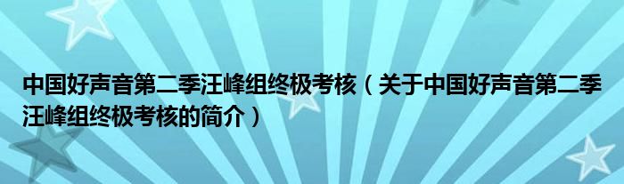 中國好聲音第二季汪峰組終極考核（關(guān)于中國好聲音第二季汪峰組終極考核的簡介）