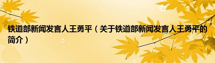 鐵道部新聞發(fā)言人王勇平（關(guān)于鐵道部新聞發(fā)言人王勇平的簡介）